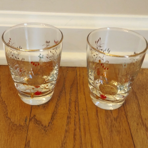 Other - Vintage Floral (2) Barware Glasses
